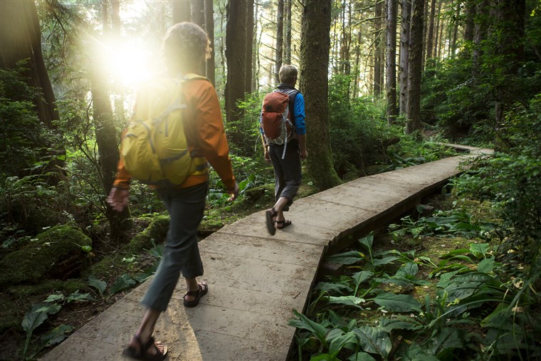 People walking in the woods